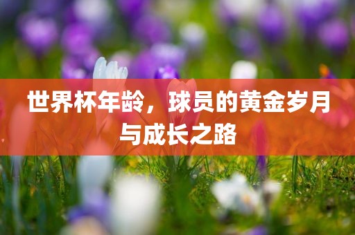 世界杯年龄，球员的黄金岁月与成长之路