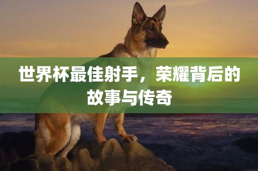 世界杯最佳射手，荣耀背后的故事与传奇