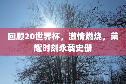 回顾20世界杯，激情燃烧，荣耀时刻永载史册漯河市盈旭机械设备有限公司