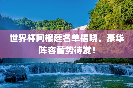世界杯阿根廷名单揭晓，豪华阵容蓄势待发！