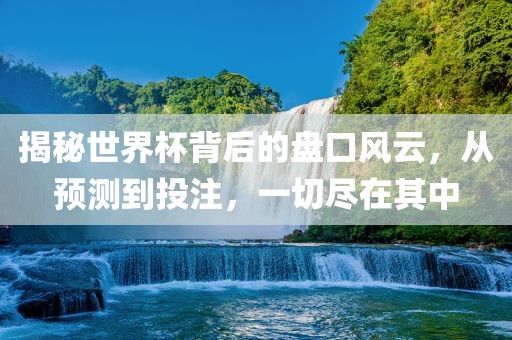 揭秘世界杯背后的盘口风云，从预测到投注，一切尽在其中
