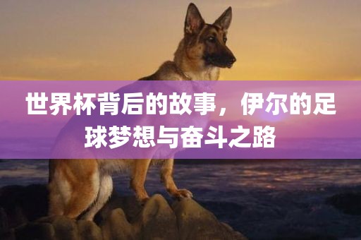 世界杯背后的故事，伊尔的足球梦想与奋斗之路
