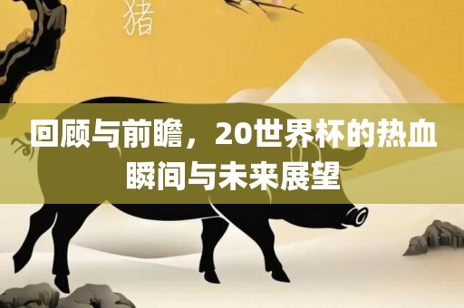 回顾与漯河市盈旭机械设备有限公司前瞻，20世界杯的热血瞬间与未来展望
