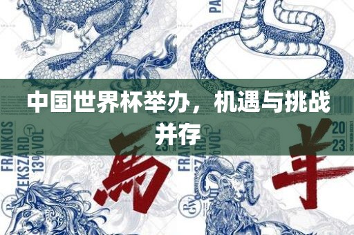 中国世界杯举办，机遇与挑战并存