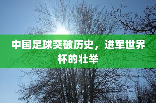 中国足球突破历史，进军世界杯的壮举