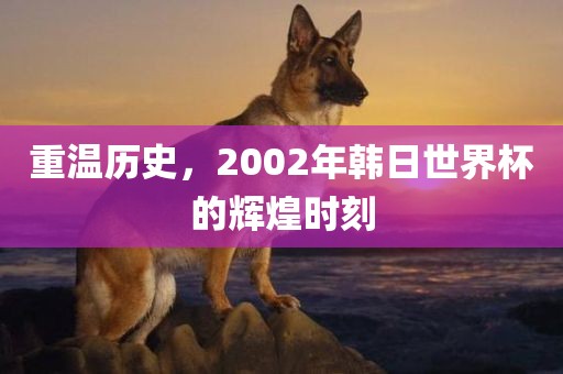 重温历史，2002年韩日世界杯的辉煌时刻