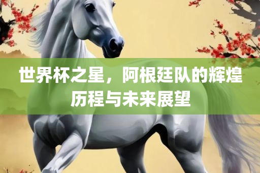世界杯之星，阿根廷队的辉煌历程与未来展望