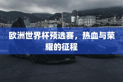 欧洲世界杯预选赛，热血与荣耀的征程