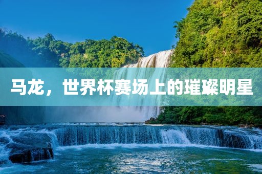 马龙，世界杯赛场上的璀璨明星