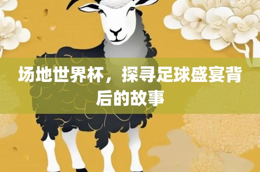 场地世界杯，探寻足球盛宴背后的故事