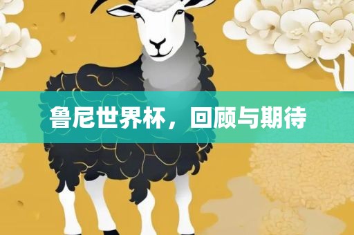 鲁尼世界杯，回顾与期待