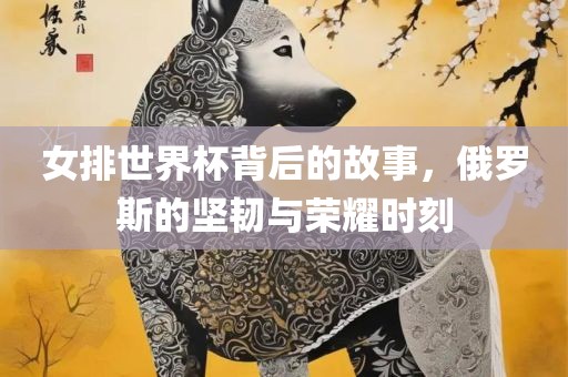 女排世界杯背后的故事，俄罗斯的坚韧与荣耀时刻