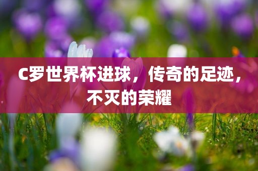 C罗世界杯进球，传奇的足迹，不灭的荣耀