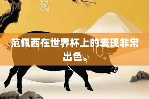 范佩西在世界杯上的表现非常出色。
