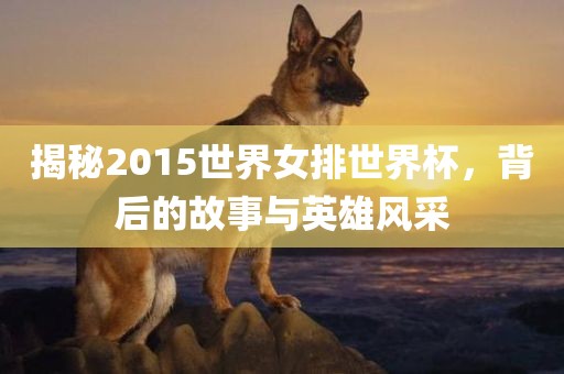 揭秘2015世界女排世界杯，背后的故事与英雄风采