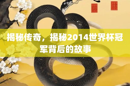 揭秘传奇，揭秘2014世界杯冠军背后的故事