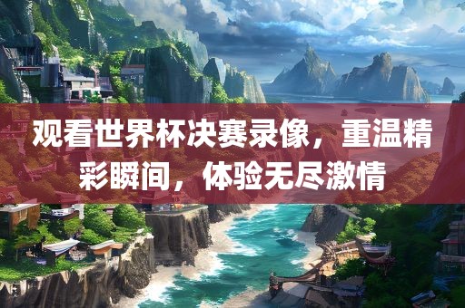 观看世界杯决赛录像，重温精彩瞬间，体验无尽激情