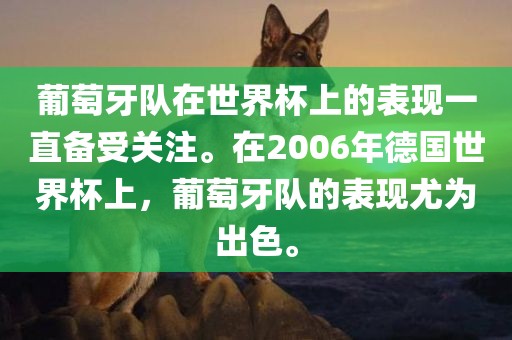 葡萄牙队在世界杯上的表现一直备受关注。在2006年德国世界杯上，葡萄牙队的表现尤为出色。