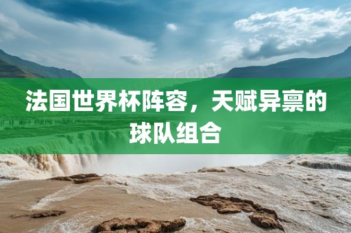 法国世界杯阵容，天赋异禀的球队组合