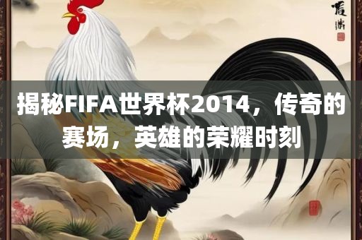 揭秘FIFA世界杯2014，传奇的赛场，英雄的荣耀时刻