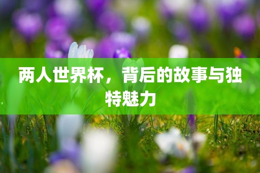 两人世界杯，背后的故事与独特魅力