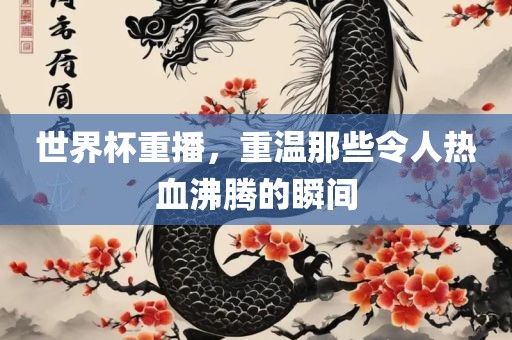 世界杯重播，重温那些令人热血沸腾的瞬间