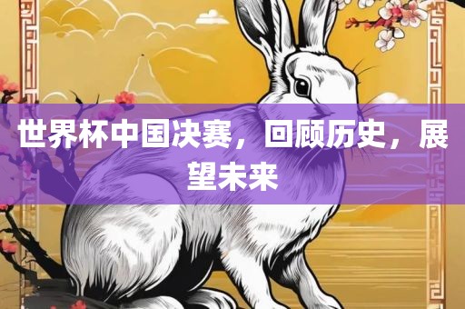 世界杯中国决赛，回顾历史，展望未来