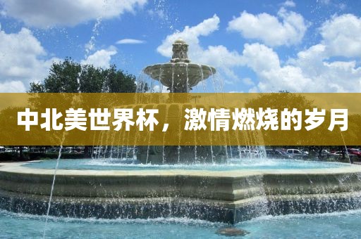 中北美世界杯，激情燃烧的岁月