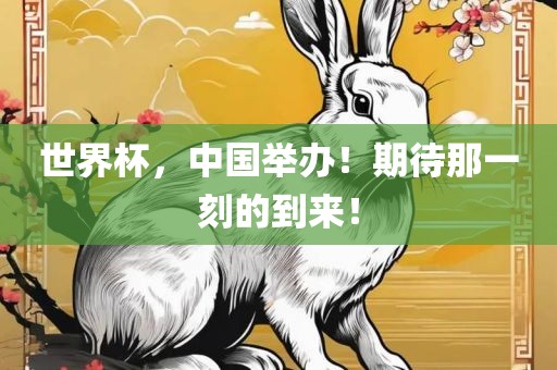 世界杯，中国举办！期待那一刻的到来！