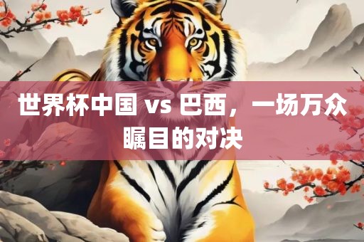 世界杯中国 vs 巴西，一场万众瞩目的对决