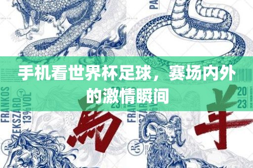 手机看世界杯足球，赛场内外的激情瞬间