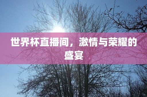 世界杯直播间，激情与荣耀的盛宴