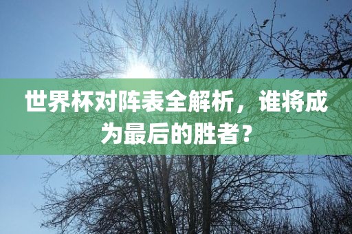 世界杯对阵表全解析，谁将成为最后的胜者？漯河市盈旭机械设备有限公司