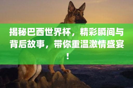 揭秘巴西世界杯，精彩瞬间与背后故事，带你重温激情盛宴！