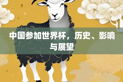 中国参加世界杯，历史、影响与展望