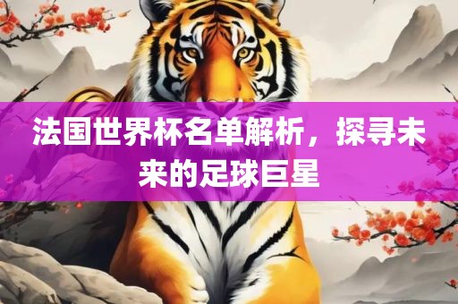 法国世界杯名单解析，探寻未来的足球巨星漯河市盈旭机械设备有限公司