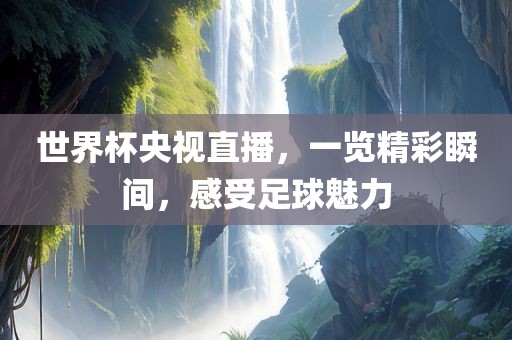 世界杯央视直播，一览精彩瞬间，感受足球魅力