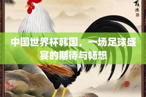 中国世界杯韩国，一场足球盛宴的期待与畅想