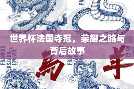 世界杯法国夺冠，荣耀之路与背后故事