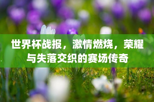 世界杯战报