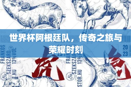 世界杯阿根廷队，传奇之旅与荣耀时刻