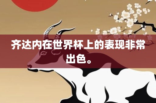 齐达内在世界杯上的表现非常出色。
