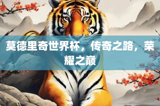 莫德里奇世界杯，传奇之路，荣耀之巅
