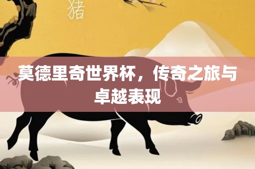 莫德里奇世界杯，传奇之旅与卓越表现