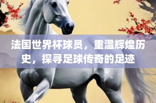 法国世界杯球员，重温辉煌历史，探寻足球传奇的足迹
