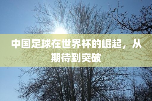 中国足球在世界杯的崛起，从期待到突破