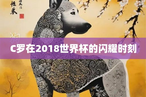 C罗在2018世界杯的闪耀时刻