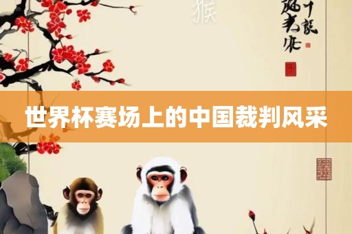 世界杯赛场上的中国裁判风采漯河市盈旭机械设备有限公司