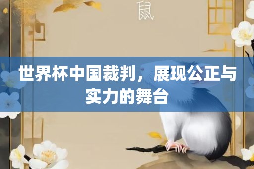 世界杯中国裁判，展现公正与实力的舞台漯河市盈旭机械设备有限公司