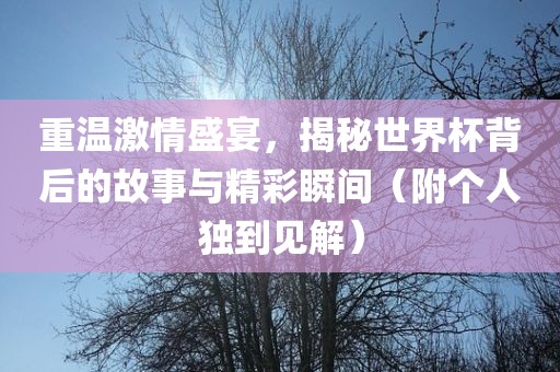 重温激情盛宴，揭秘世界杯背后的故事与精彩瞬间（附个人独到见解）